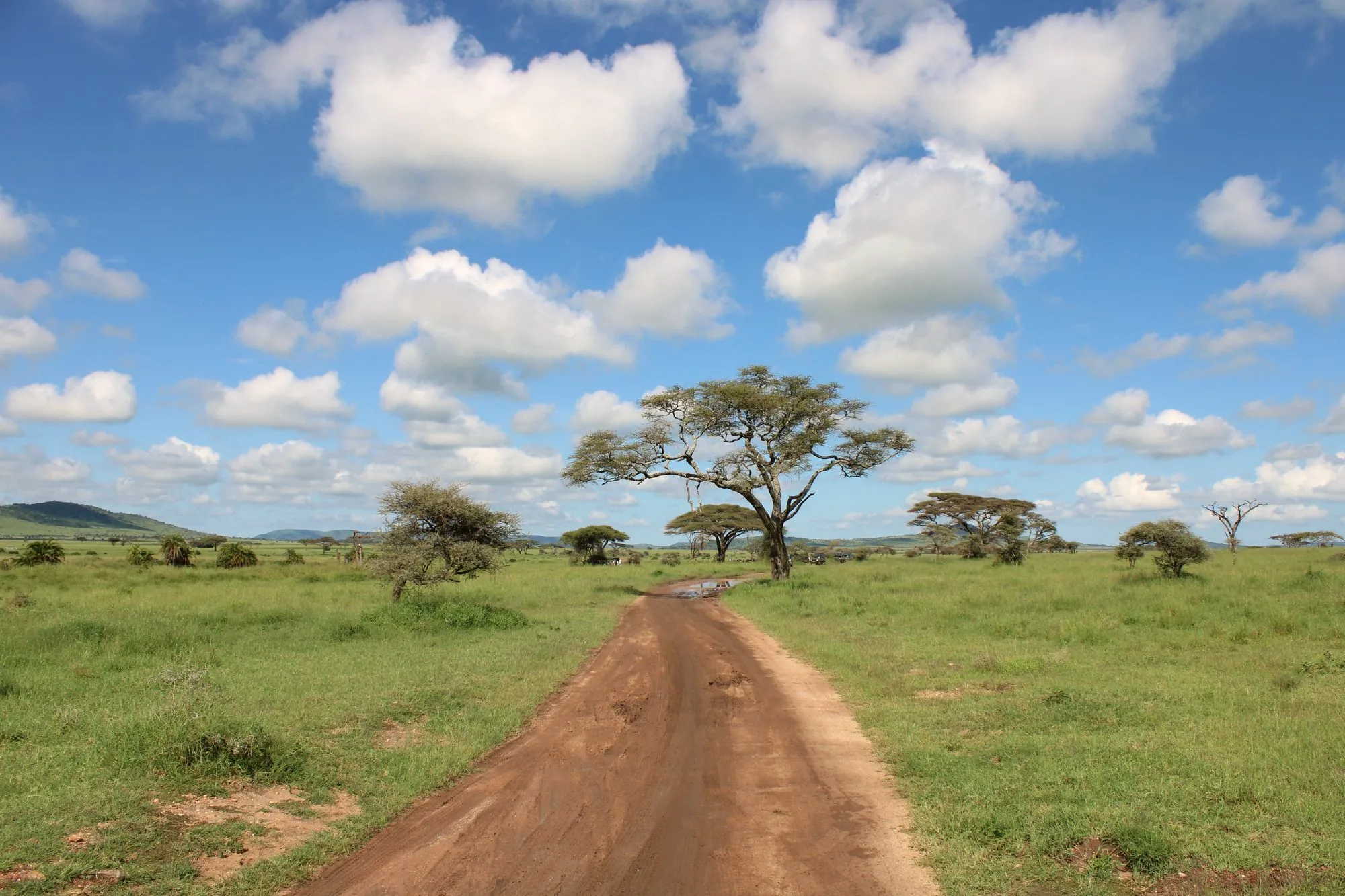 Red-earth road winding through green hills in East Africa